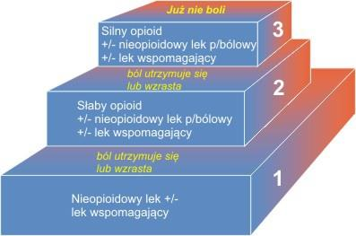 Leki adjuwantowe posiadające działanie analgetyczne Przeciwpadaczkowe Przeciwdepresyjne Kortykosteroidy Antagoniści receptorów NMDA Bisfosfoniany i denosumab Leki działające powierzchniowo: