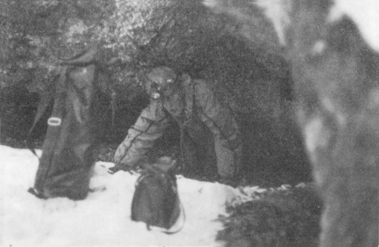 46 R. Paszkiewicz et al. Chiropterofauna Pienin Ryc. 3. Podkowiec mały (Rhinolophus hipposideros). Lesser horseshoe bat (Rhinolophus hipposideros).