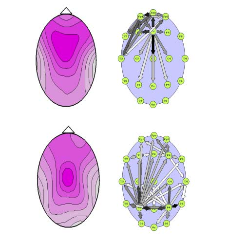 Directions of EEG activity propagation