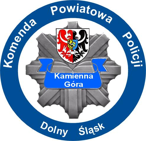 Sprawozdanie Komendanta Policji o działalności w roku 2013 oraz informacja o stanie