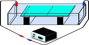 Właściwości optyczne koloidów efekt Tyndalla Właściwości elektryczne 1. podwójna warstwa elektryczna 2.