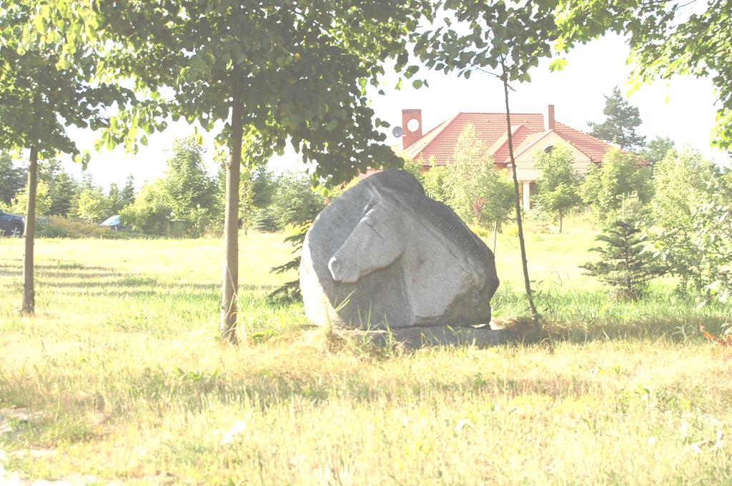 Konie 1996 2002 Obsada na 100 ha UR poniżej 1 2 i powyżej zjawisko nie występuje Średnia dla aglomeracji: 1,0 szt. Maksymalny udział: 5,8 szt. m.