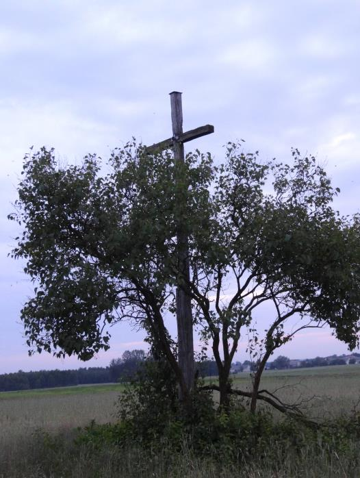 Krzyż przydrożny fundacji Salewskich w u Figura św.