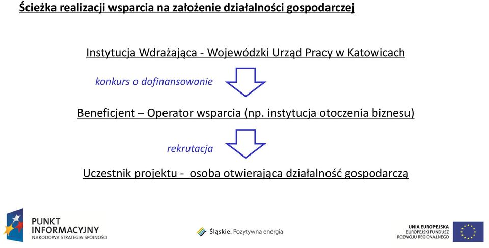 dofinansowanie Beneficjent Operator wsparcia (np.