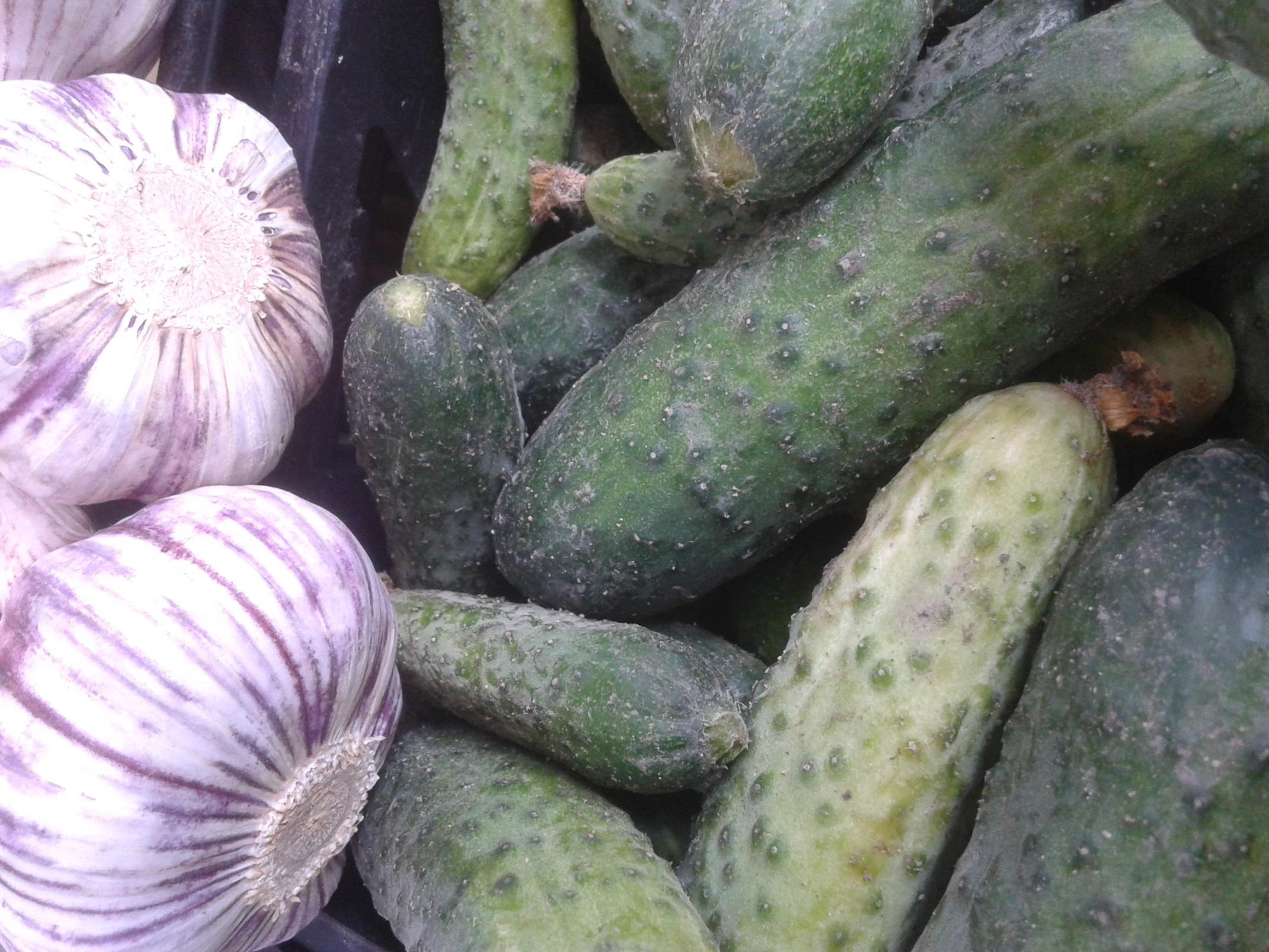 Cucumber in brine soup Put the rinsed meat into the pot. Cook slowly until it boils. Add a pinch of salt, bay leaf and allspice.