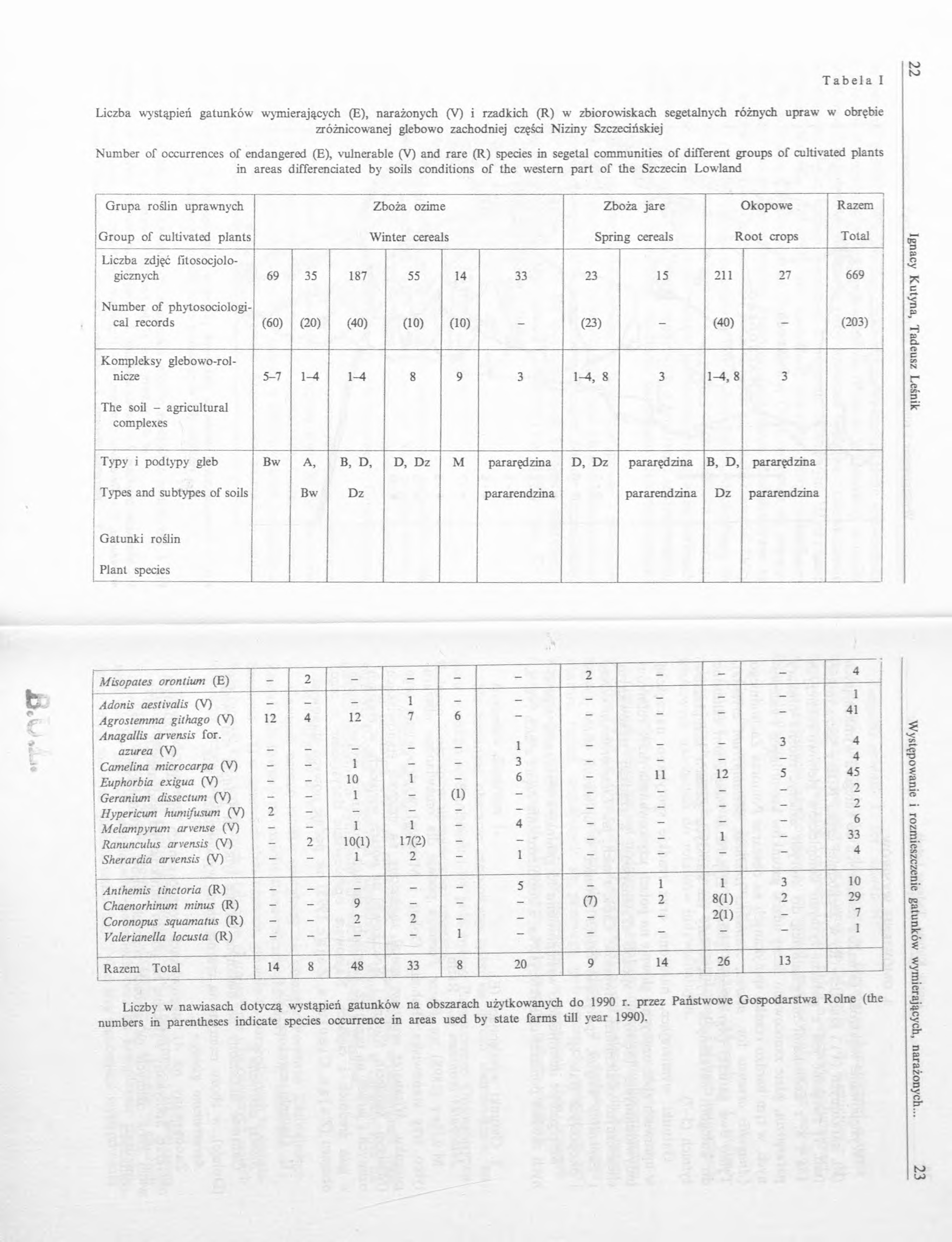 Tabela I N> to Liczba wystąpień gatunków wymierających (E), narażonych (V) i rzadkich (R) w zbiorowiskach segetalnych różnych upraw w obrębie zróżnicowanej glebowo zachodniej części N iziny