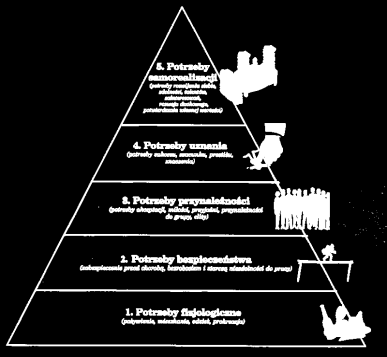 Maslow hierarchia potrzeb Jeśli potrzeba niższego rzędu: zostanie zaspokojona, traci funkcję motywacyjną nie zostanie zaspokojona, potrzeby wyższego rzędu nie wystąpią Potrzeby dodatkowe (wiedzy czy