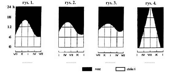 Zadanie 13. (1 pkt) Zamieszczone poniżej rysunki przedstawiają zróżnicowanie długości dnia i nocy w ciągu roku w różnych szerokościach geograficznych.