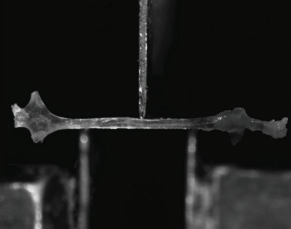 Opisane metody są podstawowymi, najpowszechniej stosowanymi badaniami doświadczalnymi przeprowadzanymi w celu określenia parametrów materiałowych kości w skali makro.