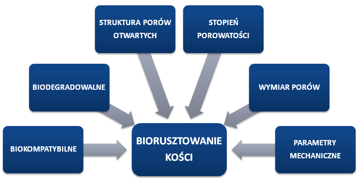 i regenerującej się tkanki. W miarę upływu czasu, biorusztowanie jest wchłaniane przez organizm pacjenta, a nowa tkanka kostna wrasta w strukturę implantu.