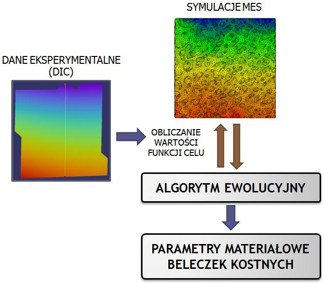 algorytmu ewolucyjnego [104]. Funkcję przystosowania algorytmu ewolucyjnego określono na podstawie funkcji celu zadania identyfikacji (5.6) F ( ch) u u ( ch ) (5.