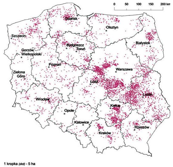 Rzepak i rzepik Powierzchnia zasiewów rośnie (przyczyna np.: wzrost roli biopaliw) Zbiory: 3,3 mln ton (2014 r.) Polska zajmuje 8 miejsce w świecie w produkcji rzepaku Plony: 35 dt/ha (2014 r.