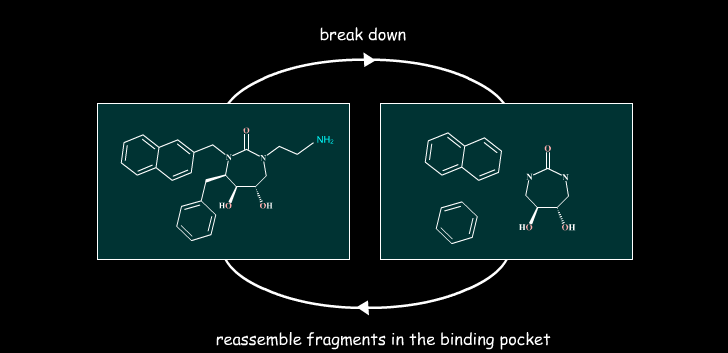 Dokowanie fragmentowe (fragmentation docking) Metody dokowania fragmentowego: - Place-and-join