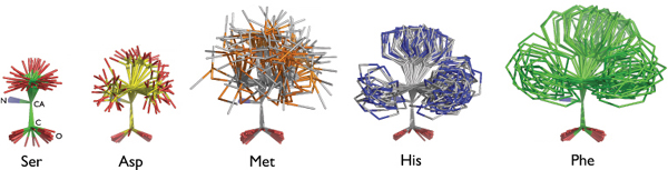 Uwzględnianie ruchów łańcuchów bocznych w białku Rozwiązanie: biblioteka