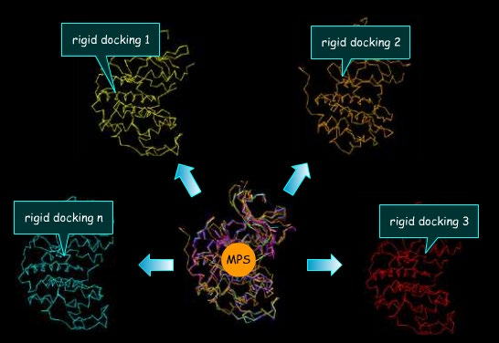 Metoda Multiple protein structure (MPS)