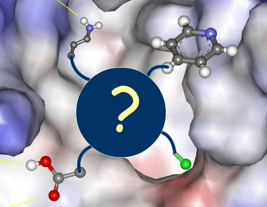 Modyfikacje liganda (inhibitory trombiny Modyfikacje ligandów aby zwiększyć