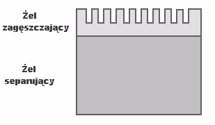 Tabela 1: Skład żelu rozdzielającego i zagęszczającego przy założeniu końcowej objętości 5ml, wystarczającej na 2 płytki.
