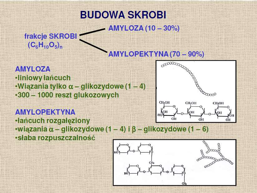 Morfologia funkcjonalna roślin Biologia: