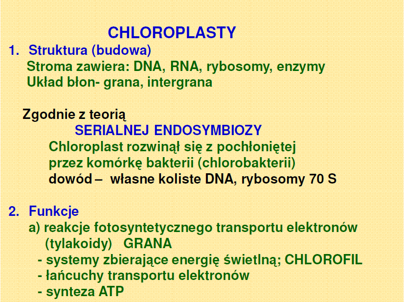 Morfologia funkcjonalna roślin Biologia: