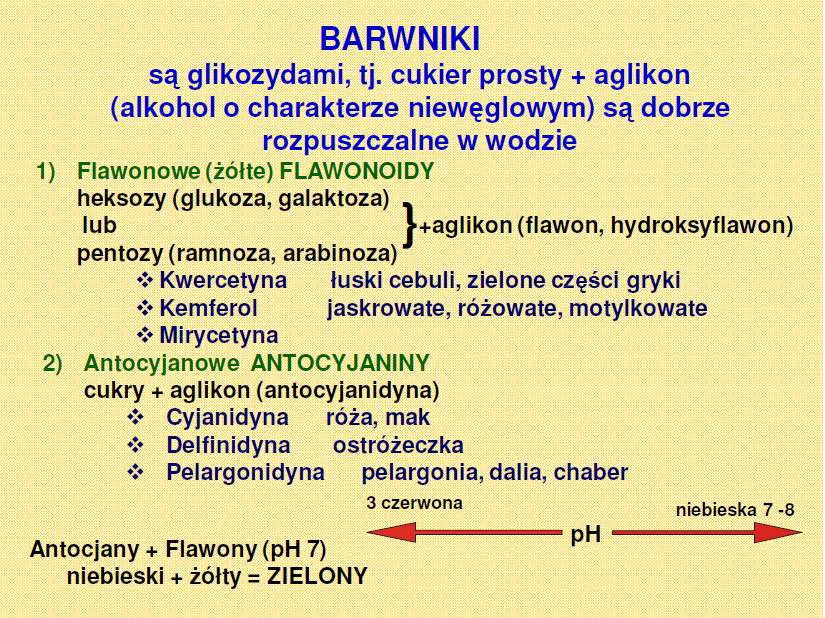 Morfologia funkcjonalna roślin Biologia: