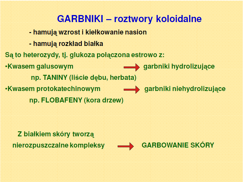 Morfologia funkcjonalna roślin Biologia: