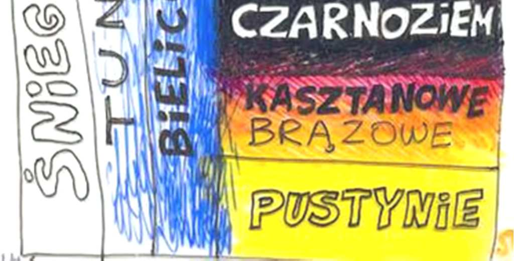 Gleby w różnych klimatach WILGOTNY CHŁODNY WILGOTNY