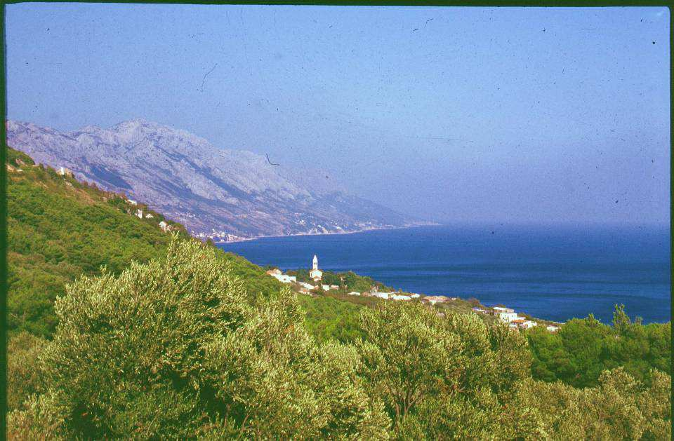 Macchia