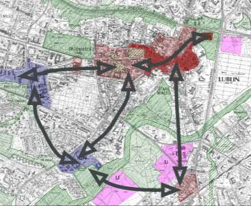 LUBELSKIE STANDARDY PIESZE. KIERUNKI ROZWOJU RUCHU PIESZEGO W LUBLINIE - KONCEPCJA SIECI PIESZEJ 7 handlu i usług. Są to zróżnicowane obszary, np.