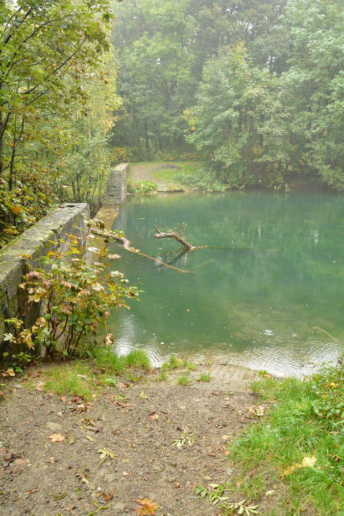 Potok Wapienica na projektowym odcinku biegnie w znacznej mierze uregulowanym, betonowym korytem, miejscami płynie naturalnym łożyskiem.