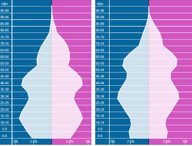 Zadanie 11. /0-6p./ 2000 rok 2016 rok mężczyźni kobiety mężczyźni kobiety Rys. Struktura płci i wieku ludności Polski Źródło: http://populationpyramid.