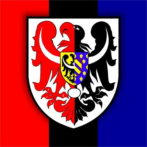 Załącznik Nr 1 do Uchwały Nr VII/30/2015 Rady Powiatu Kamiennogórskiego z dnia 28 kwietnia 2015 r.