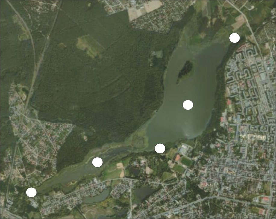 Z takim samym zagęszczeniem pobierano próbki wody do analizy składu jakościowego i ilościowego fito- i zooplanktonu, przy czym próbkę zooplanktonową zagęszczono z 10 l wody przy użyciu siatki