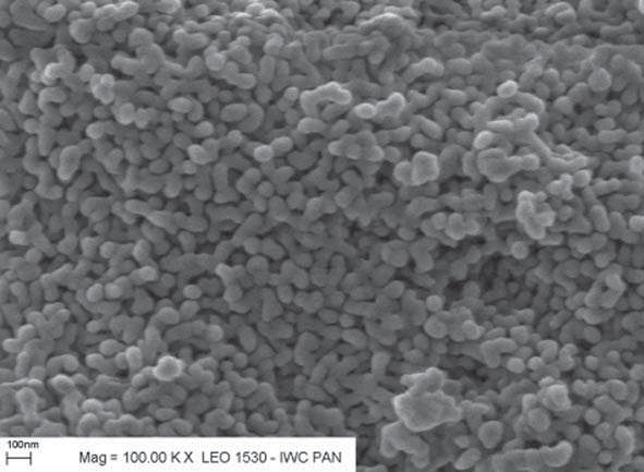 Nanoproszki YAG domieszkowane cerem... Rys. 11. Zdjęcia SEM nanoproszku YAG prażonego w temperaturze 1100 o C. Fig. 11. SEM picture of YAG nanopowder calcinated at 1100 o C.