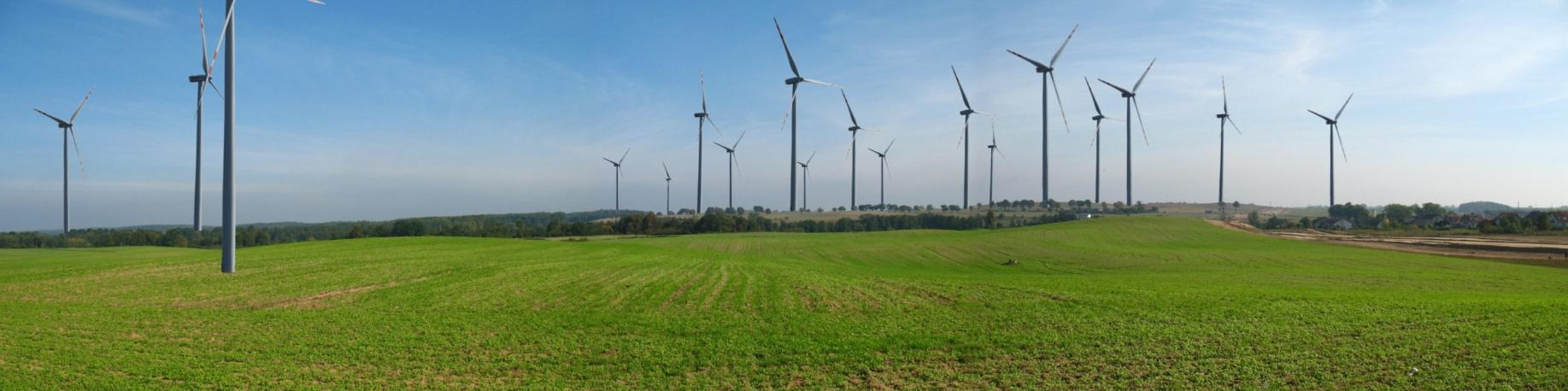 Symulacje krajobrazowe planowanej farmy wiatrowej Pelplin II, autor Biuro Projektów i Wdrożeń Proekologicznych Proeko w Gdańsku (2010) źródło: prognoza oddziaływania na