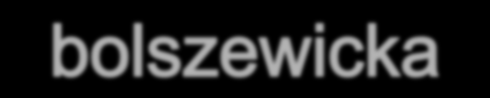 Po ustaniu walk polsko-ukraińskich, zimą 1919/1920, Maczek został przeniesiony do zadań sztabowych. Niedługo po tym zaczęła się ofensywa kijowska. W tej sytuacji zameldował się we Lwowie u gen.