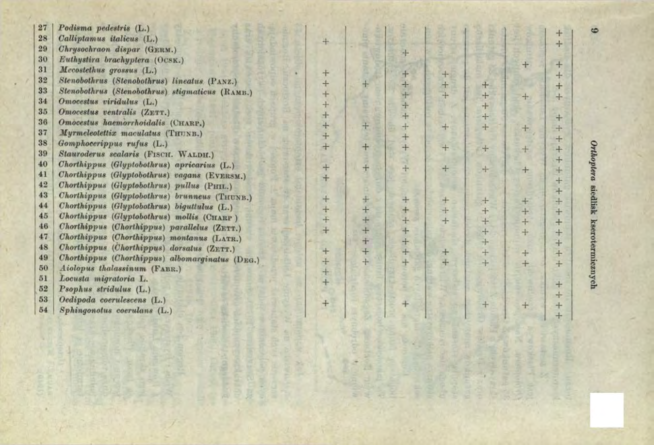 27 I Poditm a pedestris (L.) 28 I Calliptam us italic us (L.) I 29 Chrysochraon dispar (Ge r m.) 30 Euthystira brachy ptera (Oc s k.) 31 ALccostethus grossus (L.