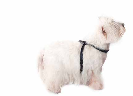SZELKI ÓSEMKI Z METALOWYM OKUCIEM EN Eight-shaped harness with metal fitting DE Geschirr Acht mit Metallbeschlag RU Шлейка «восьмерка» с таллической отделкой IT Pettorina a otto con giunzione in