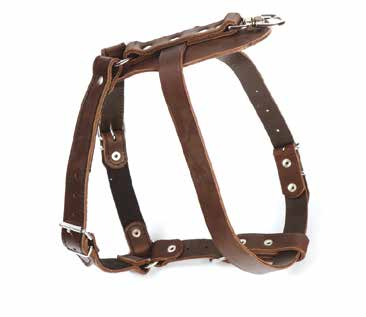 OBROŻA ŁUSKA SOFT EN SHELL collar DE Halsband SCHUPPE RU Ошейник «РЫБЬЯ ЧЕШУЯ» IT Collare shell SZELKI SZKOLENIOWE SOFT EN Training harness DE Trainingsgeschirr RU Шлейка тренировочная IT Pettorina