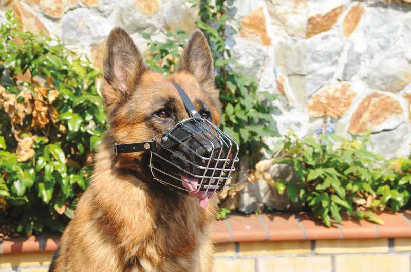 KAGANIEC METALOWY DINGO EN Muzzle DE Maulkörbe RU Mорда IT Museruola INDEKS NR PASUJE NP DLA RASY A (cm) B (cm) C (cm) 14009 7 Rottweiler 38 11 10 14018 7a Rottweiler duży 41 11 11 C 14010 14011 8