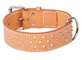 OBROŻA EXTRA EN EXTRA collar DE Halsband EXTRA RU Ошейник «ЭКСТРА» IT Collare EXTRA OBROŻA ZACIĄGANA EXTRA EN EXTRA tightened collar DE Halsband EXTRA zugezogen RU Ошейник -удавка «ЭКСТРА» IT Collare