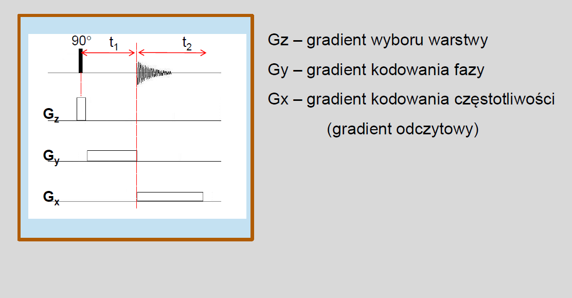 PD - proton density-weighted MRI Obrazy PD-zależne Najprostsza sekwencja pomiarowa