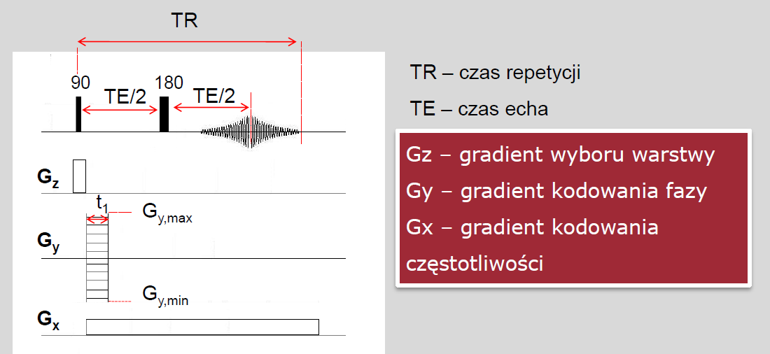 Sekwencja MRI Spinowe echo (SE) Obraz T1-zależny, ang. T1-weighted: krótki TE (<30 ms); krótki TR (200-1000 ms) Obraz T2-zależny, ang.