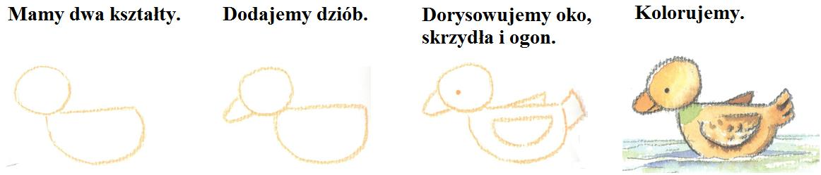 WITAJCIE PRZYJACIELE ZWIERZĄT! Mam na imię Łucja. Od dawna interesuję się psami. Mój pierwszy pies był rasy golden retriever, a teraz jestem szczęśliwą właścicielką kundelka.