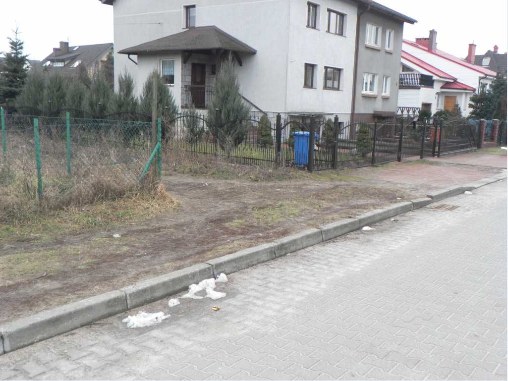 Zdjęcie nr 2.