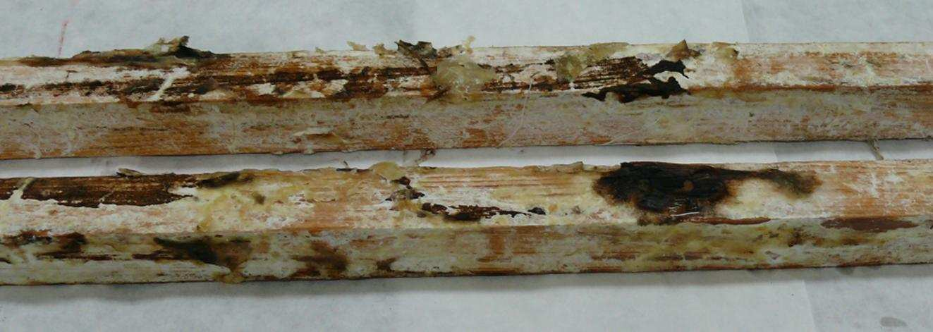 1114 Kubik j. i inni: Porównanie pełania drewna pred i po poraŝeniu pre mikrooranimy Rys. 1. Stanowisko pomiarowe Próbki pierwsej serii były wykonane e świeŝo ścięteo drewna sosnoweo.