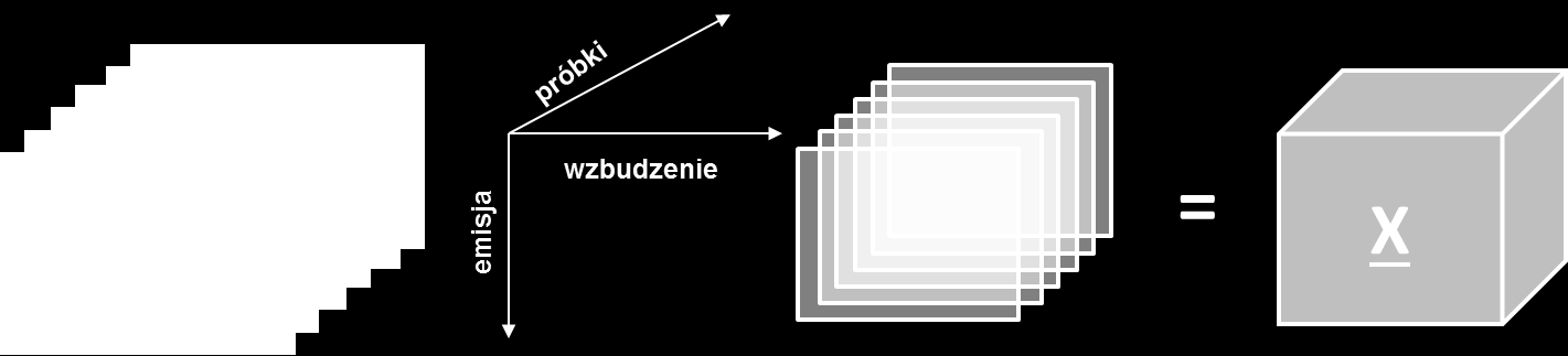 Dwuwymiarowy charakter fluorescencyjnych obrazów daje różne możliwości ich organizacji. Sygnały można rozwinąć (utworzyć sygnały jednowymiarowe) zob. rys. 7, a następnie, podobnie jak w przypadku np.