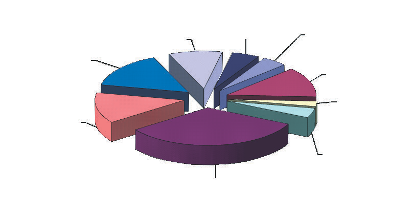 2 Przegl¹d Pyskowicki nr 1 (219) Styczeñ 2015 Informacje burmistrza pomoc społeczna i ochrona zdrowia 15,4% gospodarka mieszkaniowa 13,1% BUD ET NA 2015 ROK Wydatki budżetu miasta Pyskowice w 2015 r.