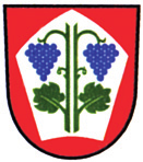 CHLEBIČOV www.chlebicov.cz Najstarsza zapisana wzmianka o wsi pochodzi z roku 1250, kiedy była majątkiem klasztoru cystersów z Velehradu. Według legendy założycielem wsi był mnich Chlebiš.