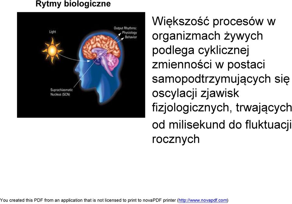 samopodtrzymujących się oscylacji zjawisk