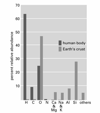 Homo sapiens człowiek (ssaki) Badania na róŝnorodnych komórkach ludzkich w hodowlach in vitro ( defekt w genie kit - komórki barwnikowe) PoniewaŜ geny człowieka mająścisłe odpowiedniki u organizmów